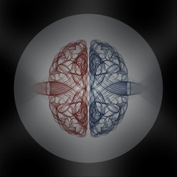 Everything Is Intelligent